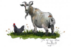A goat and hen in Luz-St-Sauveur