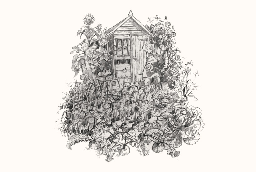A drawing of Digger in an allotment