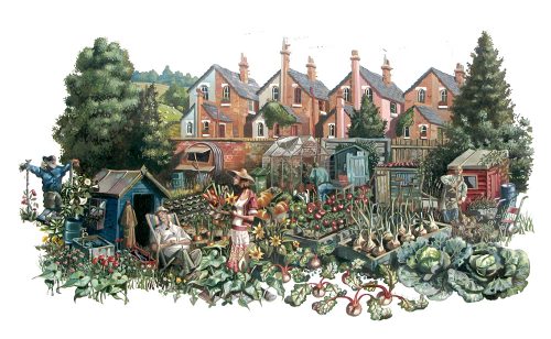 A print of a man and wife in the allotment