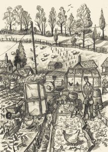 drawing of the allotment in Pilton Somerset 2