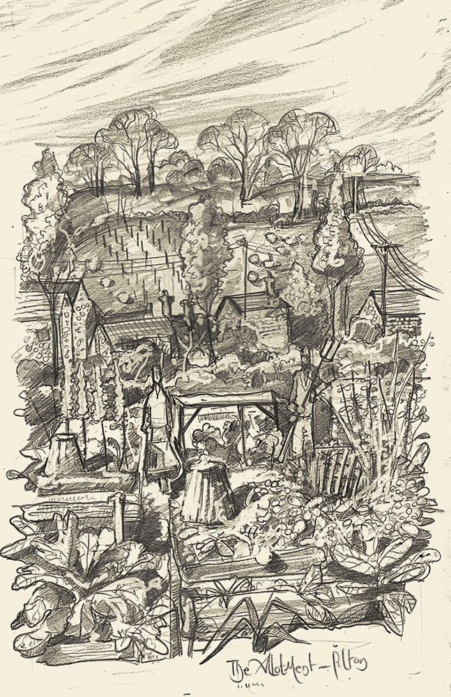 drawing of the allotment in Pilton Somerset 3