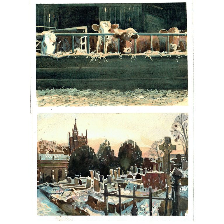 watercolour Selection of cows and church