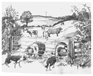 A drawing of cows pigs and dogs on a farm