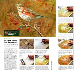 The artical on painting a Redwing for the RSPB magazine