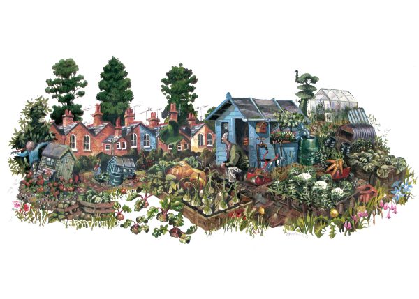 Man sitting in his shed in an allotment greetings card 178mm x 127mm