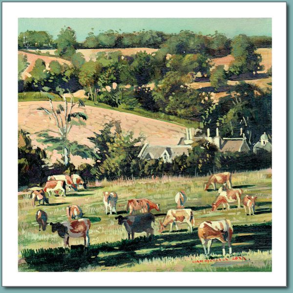 Greetings Card - Cows in a sunny field taking a bit of shade
