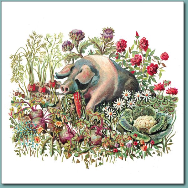 Greetings Card - Saddleback Pig