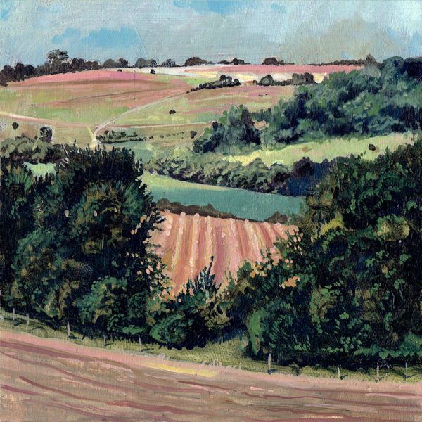 A country view